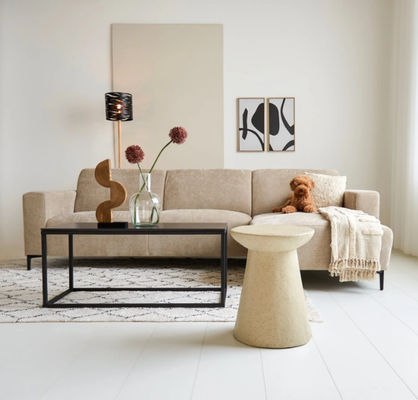 Beige Interieur